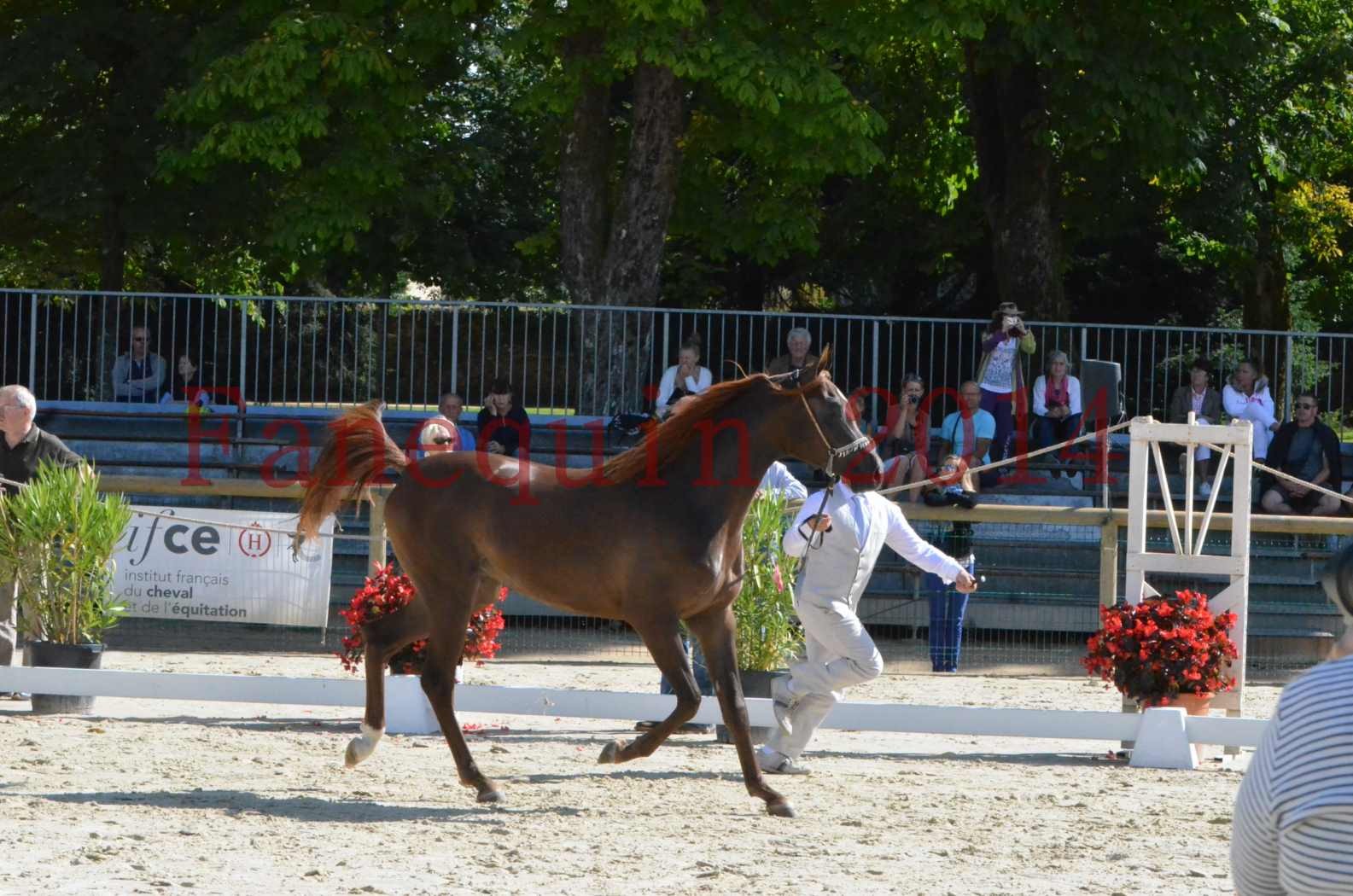 Championnat de FRANCE 2014 - Amateurs - LAMAL - 05