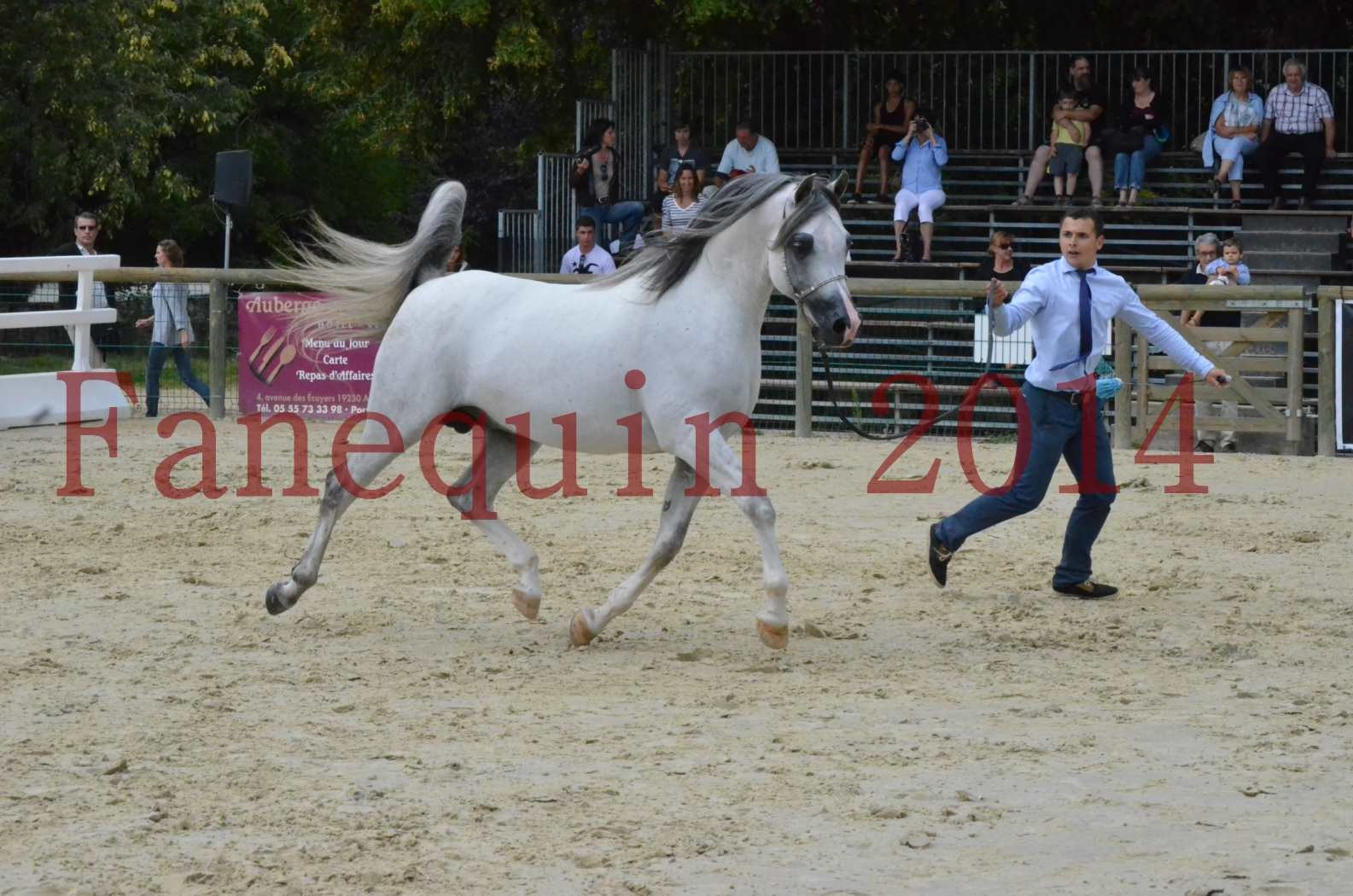 CHAMPIONNAT DE FRANCE  2014 A POMPADOUR - Championnat - SHAOLIN DE NEDJAIA - 05