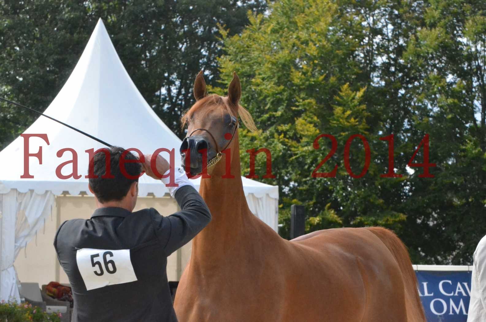 ﻿CHAMPIONNAT DE FRANCE 2014 A POMPADOUR - Sélection - LUTFINAH JA - 45