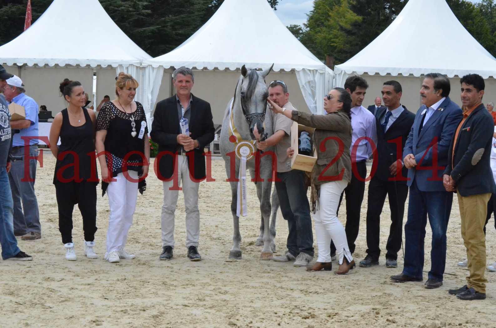 CHAMPIONNAT DE FRANCE  2014 A POMPADOUR - Championnat - SHEYK DE GARGASSAN - 22