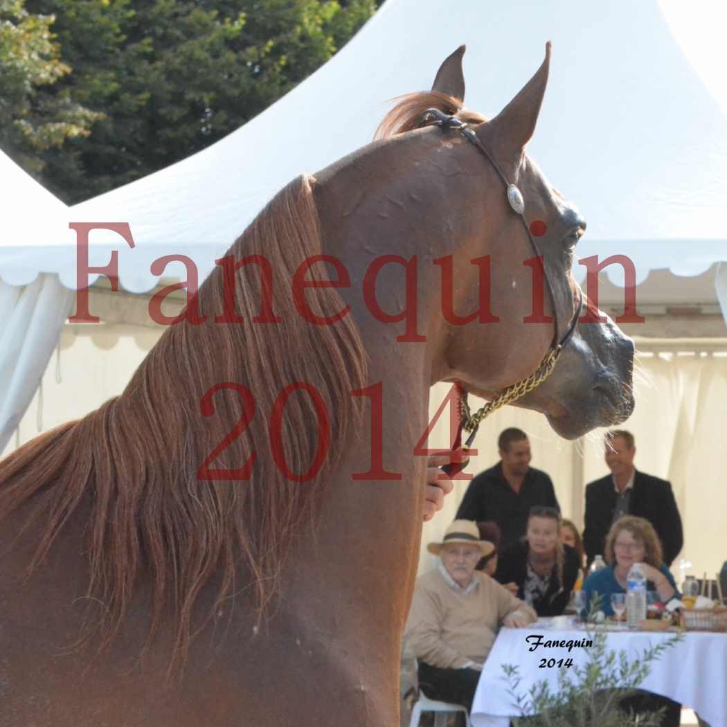 CHAMPIONNAT DE FRANCE 2014 A POMPADOUR - Notre Sélection - Portraits - AINHOA LE BASQUE - 3