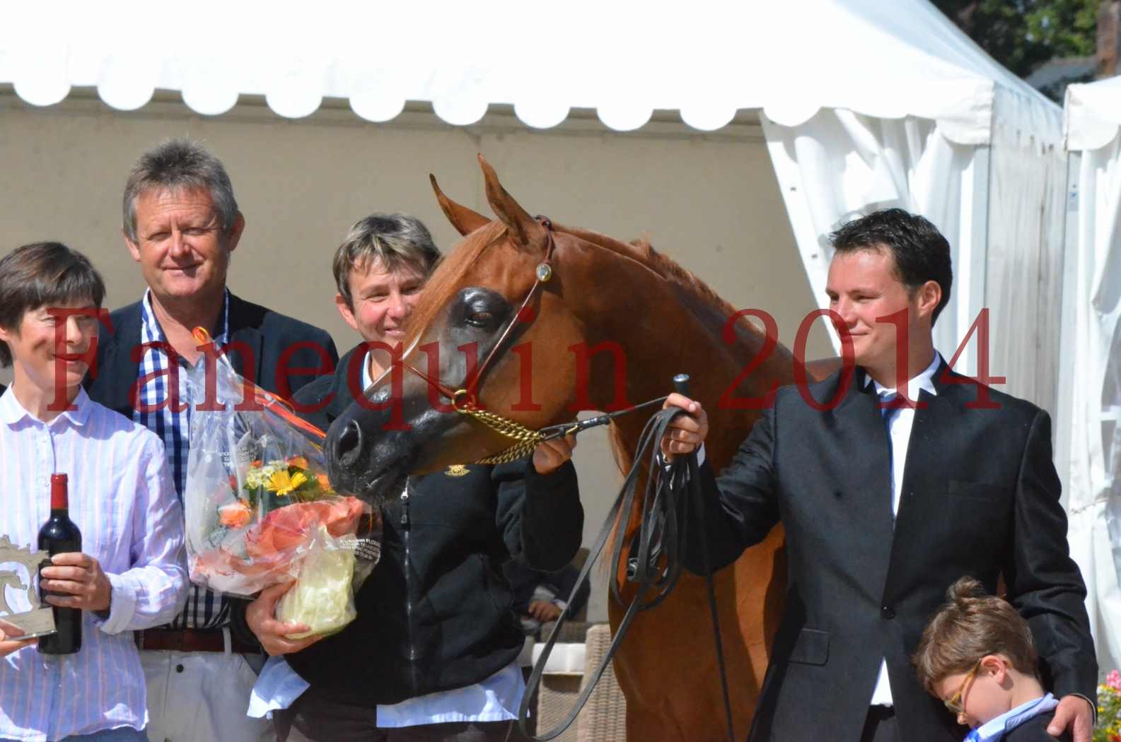 ﻿CHAMPIONNAT DE FRANCE 2014 A POMPADOUR - Sélection - KINSHASA JA - 87