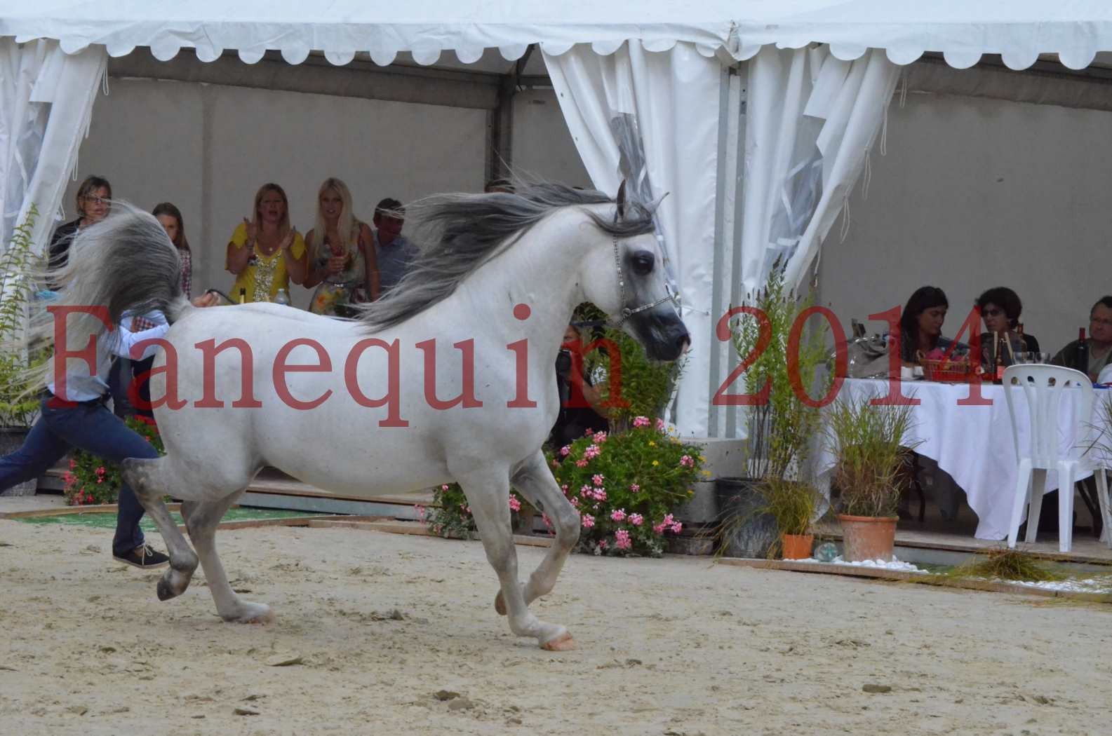 CHAMPIONNAT DE FRANCE  2014 A POMPADOUR - Championnat - SHAOLIN DE NEDJAIA - 09