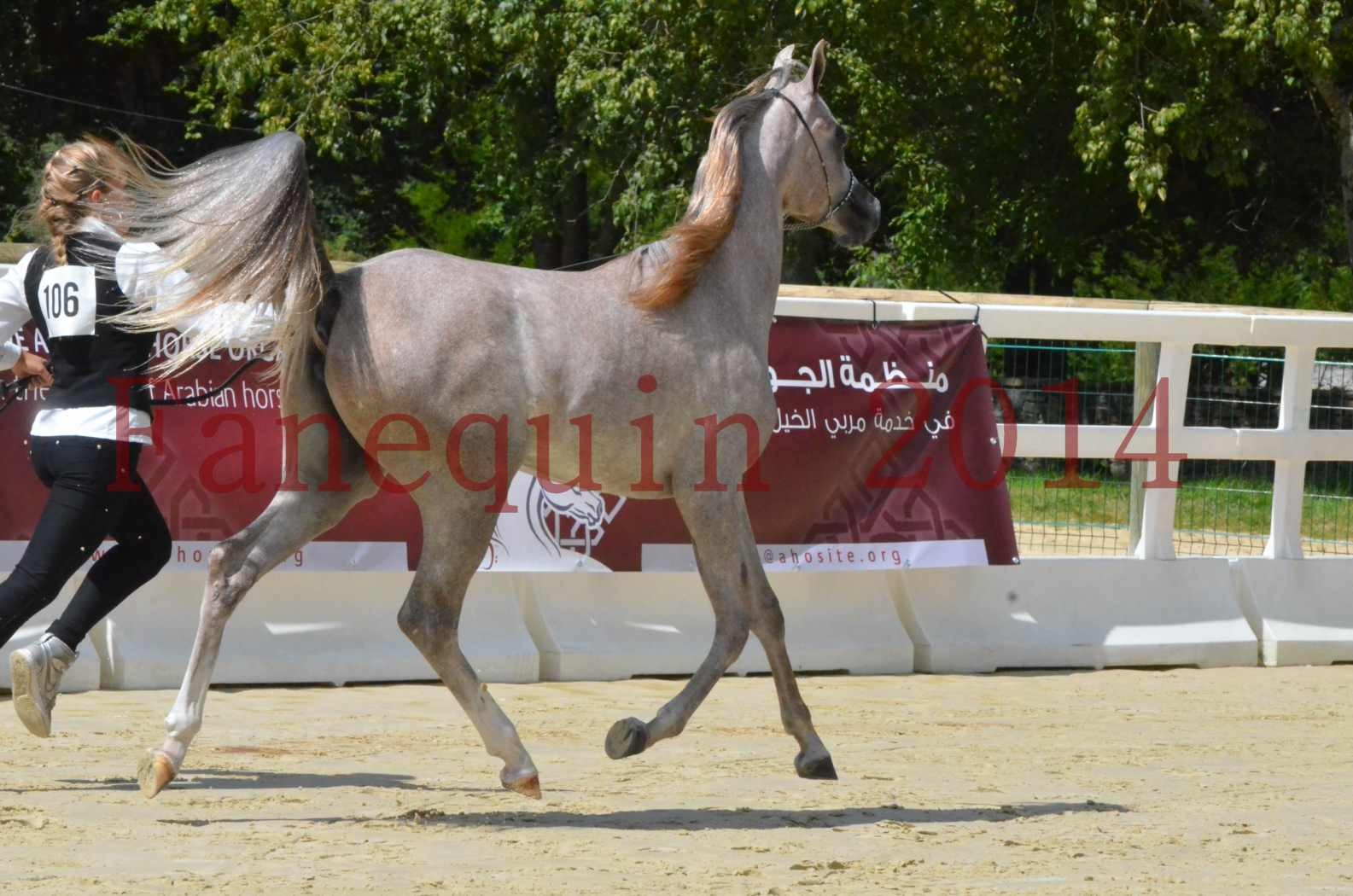 Championnat de FRANCE 2014 - Amateurs - SANA ISHANE - 29