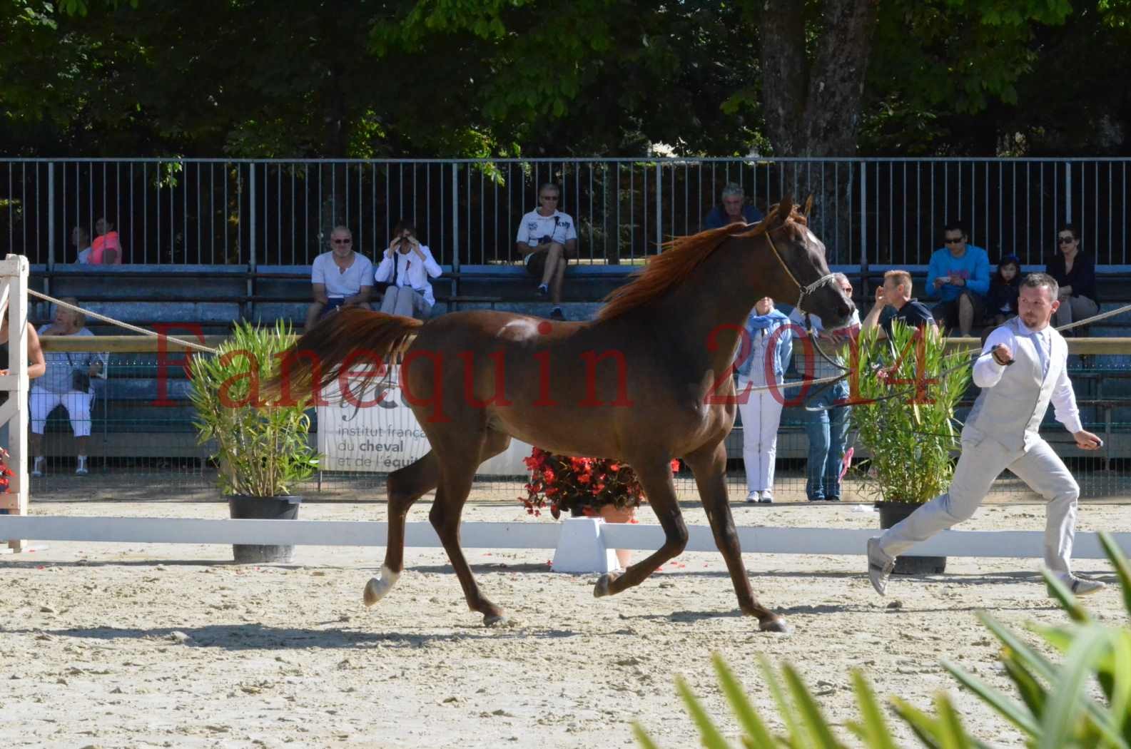 Championnat de FRANCE 2014 - Amateurs - LAMAL - 29