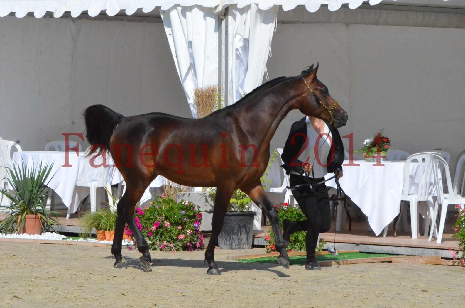 Championnat de FRANCE 2014 - Amateurs - JA KHALEB - 24