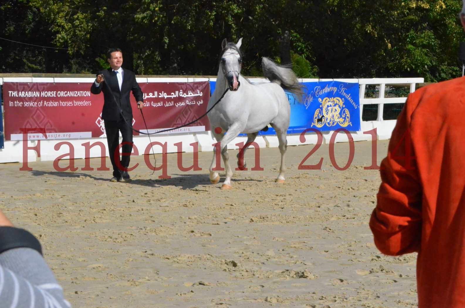 CHAMPIONNAT DE FRANCE  2014 A POMPADOUR - Sélection - SHAOLIN DE NEDJAIA - 50