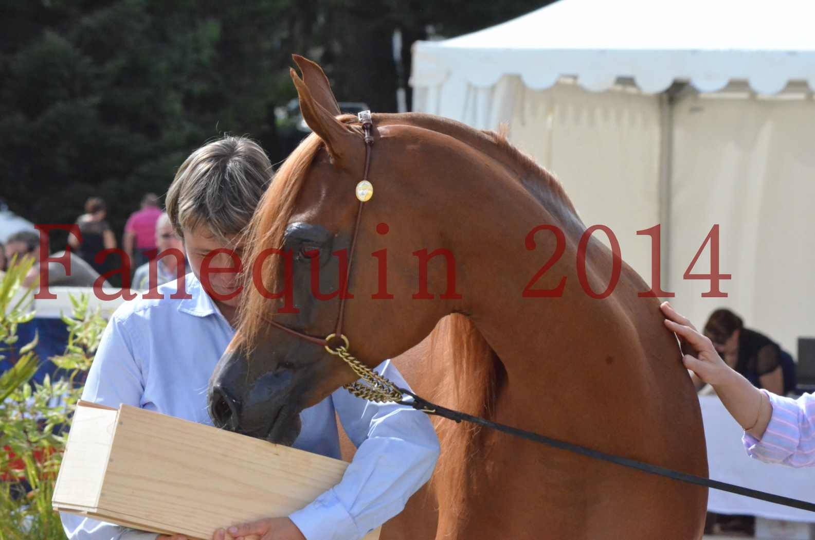 ﻿CHAMPIONNAT DE FRANCE 2014 A POMPADOUR - Championnat - KINSHASA JA - 62