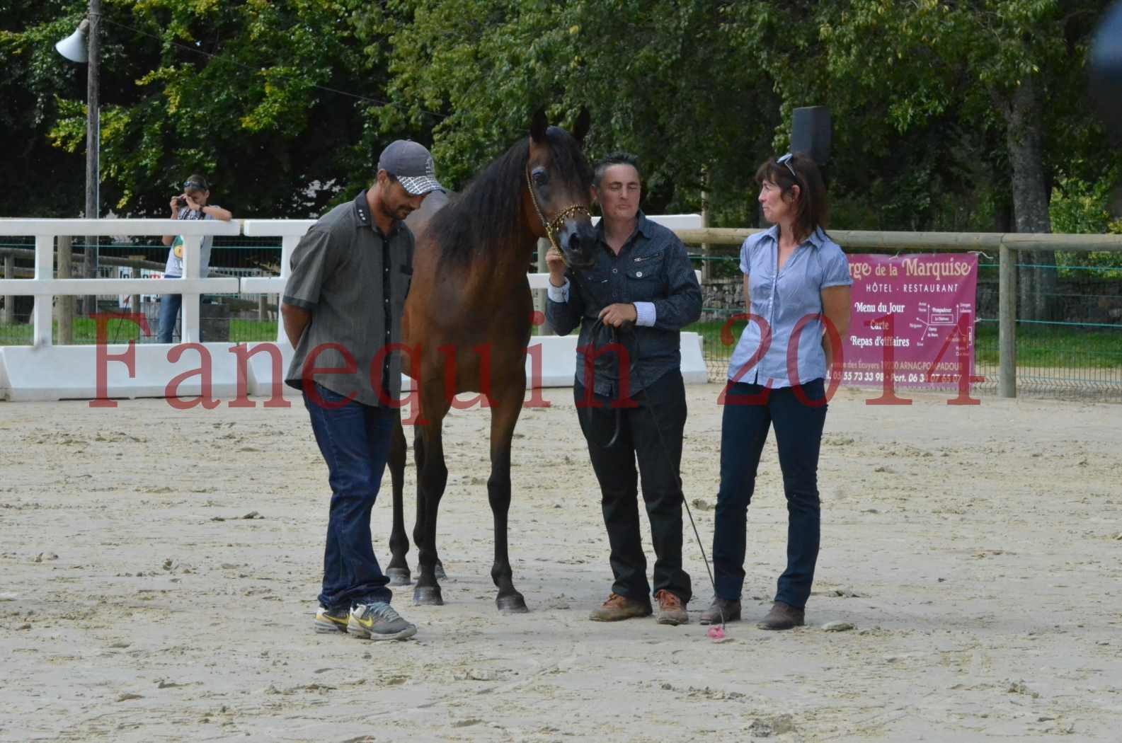 Championnat de FRANCE 2014 - Amateurs - KAL'ELLE D'ELHORIA - 100