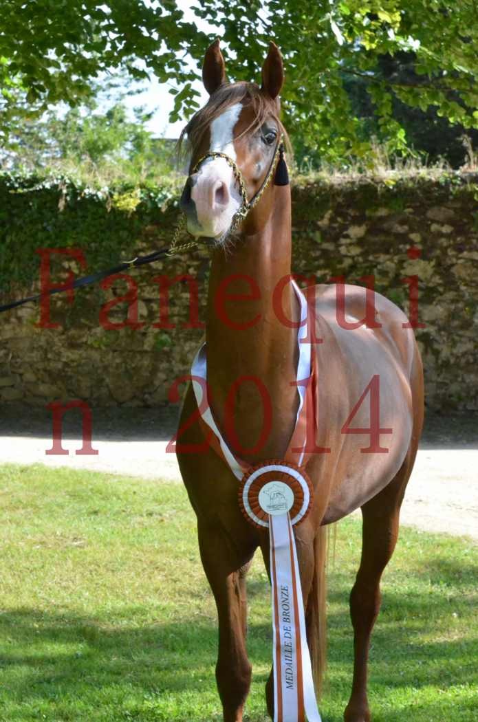 Championnat de FRANCE 2014 - Amateurs - SELECTO IBN SAMAWI - 173