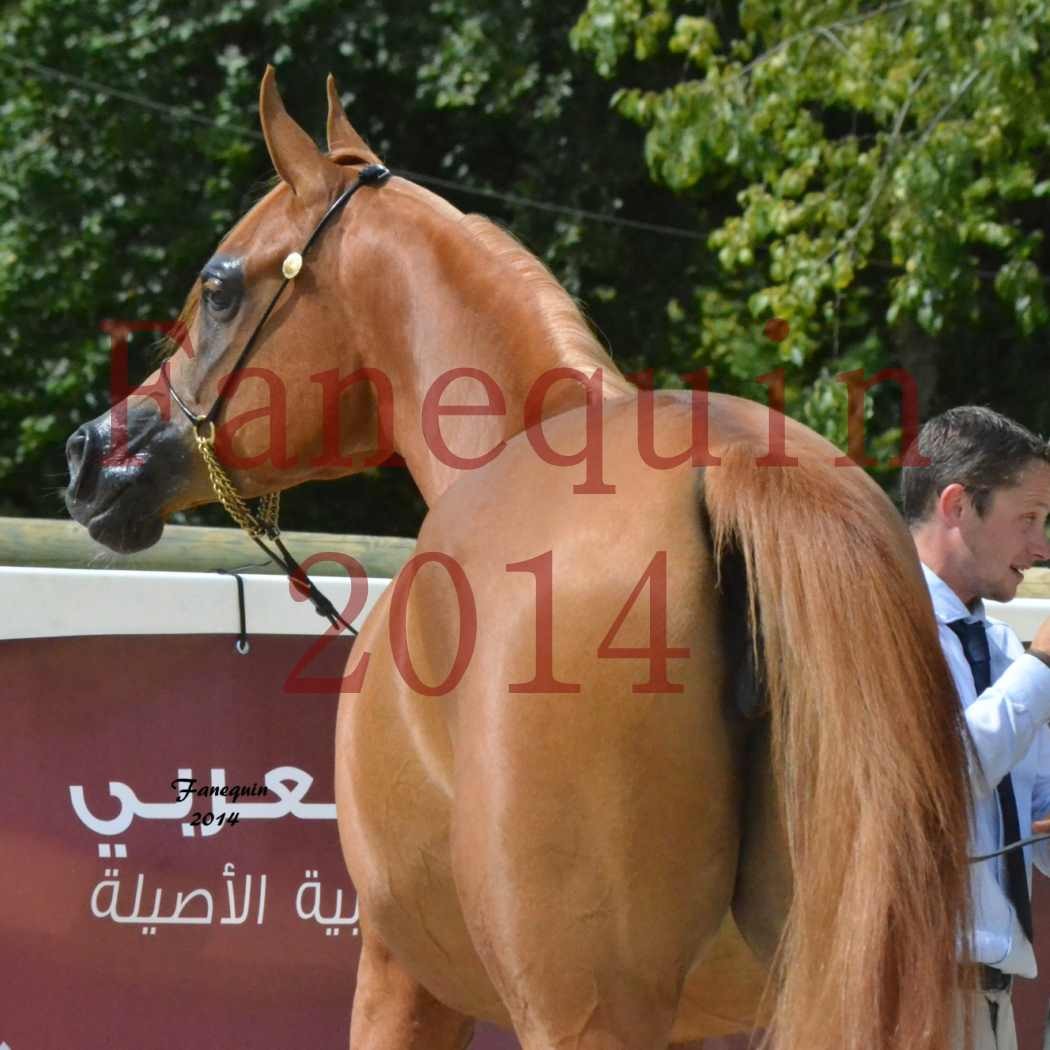 ﻿CHAMPIONNAT DE FRANCE 2014 A POMPADOUR - Notre Sélection - Portraits - LUTFINAH JA - 09