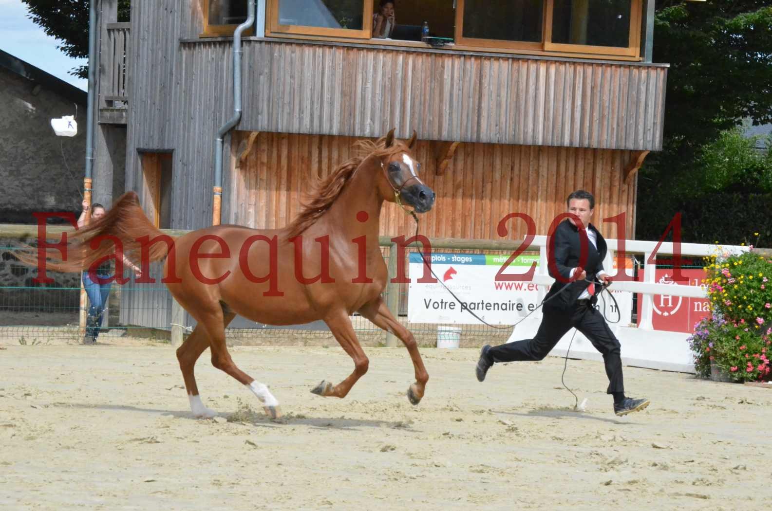 ﻿CHAMPIONNAT DE FRANCE 2014 A POMPADOUR - Championnat - KINSHASA JA - 41