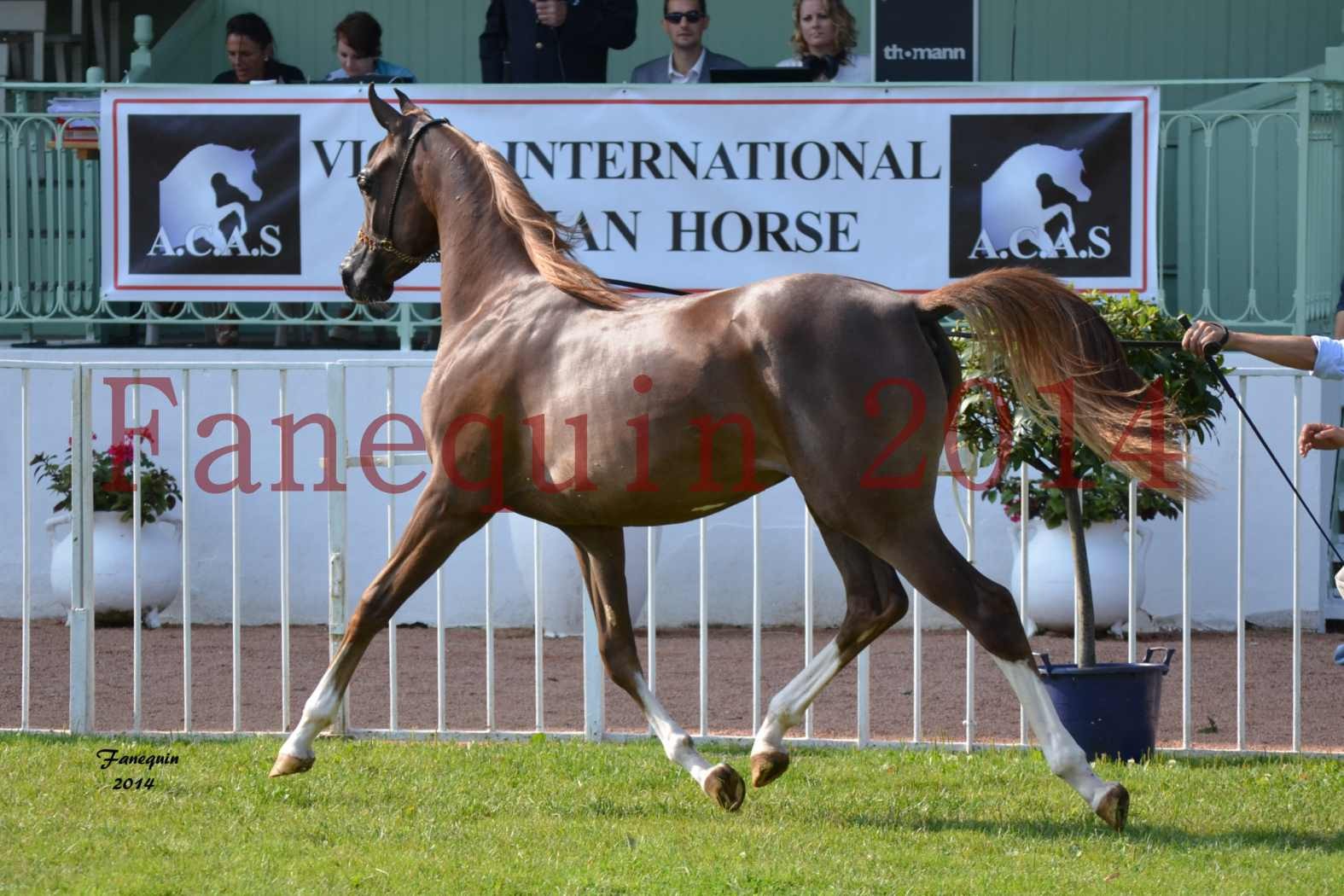 SHOW INTERNATIONAL DE VICHY 2014 - LUPY ZAAHYANAH