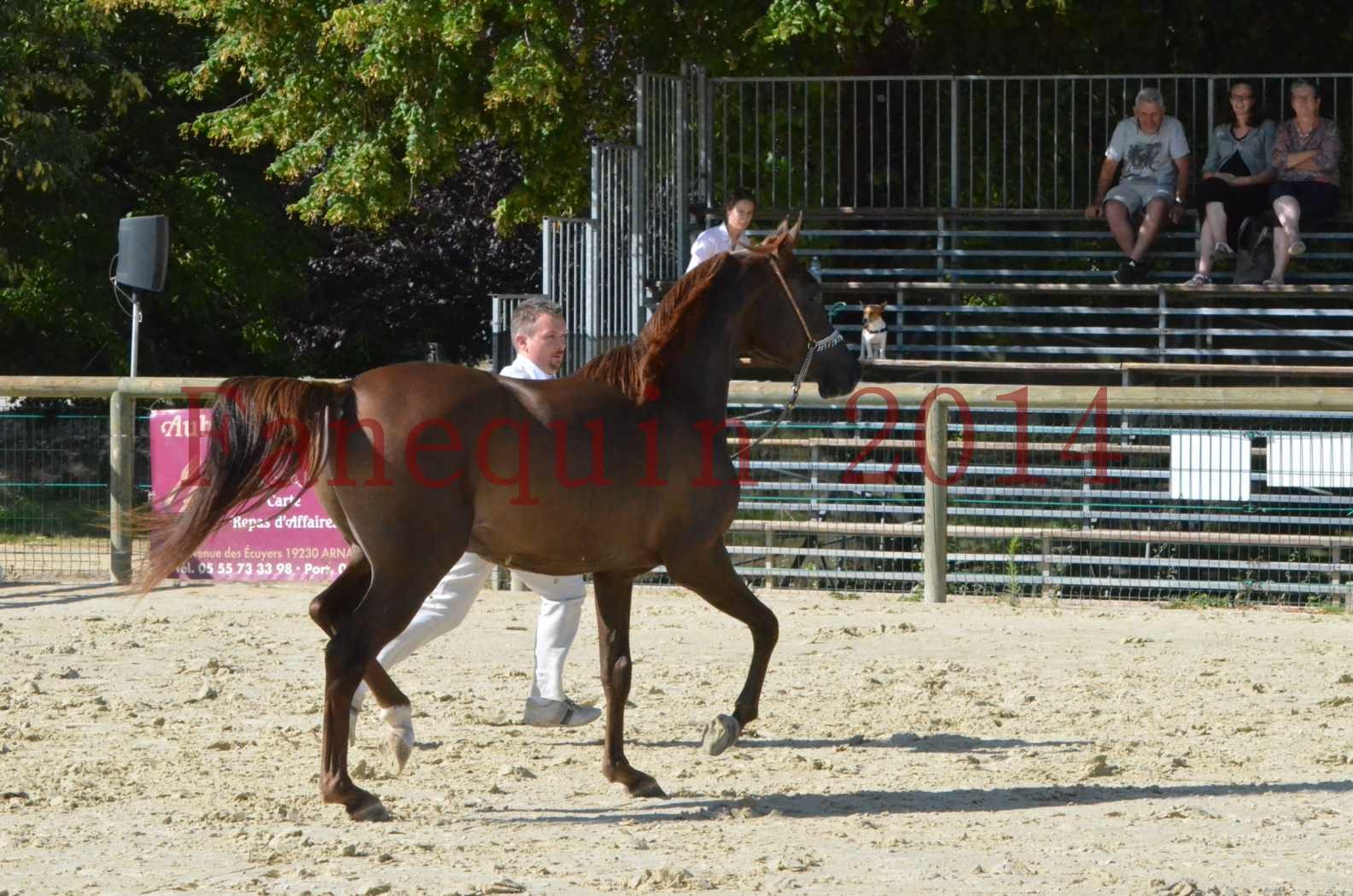 Championnat de FRANCE 2014 - Amateurs - LAMAL - 49