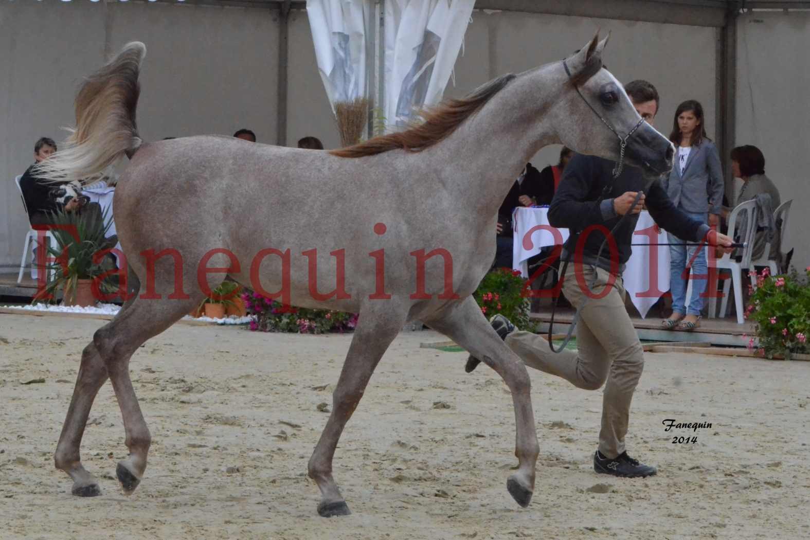 CHAMPIONNAT DE FRANCE 2014 A POMPADOUR - Notre Sélection - ANWAR ISHANE - 1