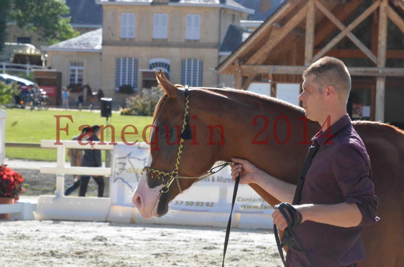 Championnat de FRANCE 2014 - Amateurs - SELECTO IBN SAMAWI - 112