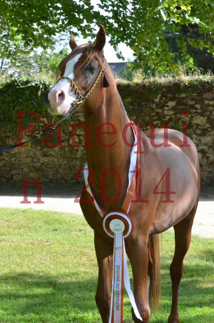 Championnat de FRANCE 2014 - Amateurs - SELECTO IBN SAMAWI - 176