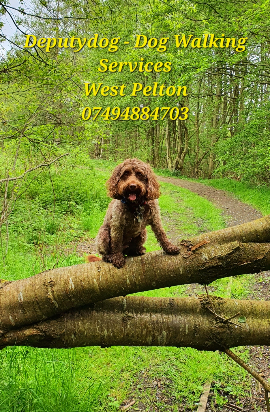 Please feel free to contact me.