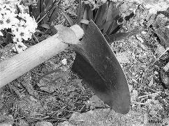 photo "forum 1 jardin 2 plantes.info" la houe, l'un des instruments les plus anciens du monde agricole