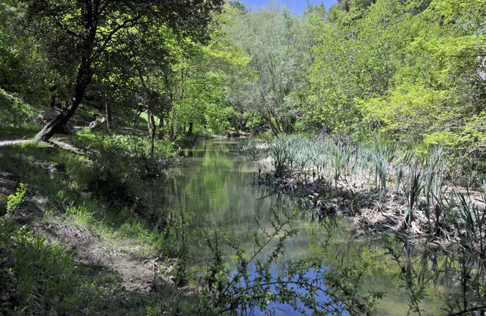 la Cassolle dans le Vallon Gai