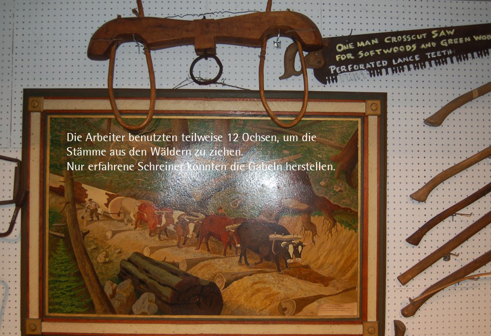Die Arbeiter benutzten teilweise 12 Ochsen, um die Stämme aus den Wäldern zu ziehen. Nur erfahrene Schreiner konnten die Gabeln herstellen.