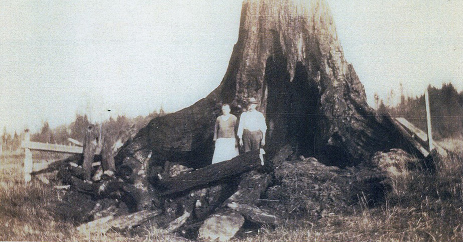 Anton und Rose Krätz beim Entfernen der Baumstümpfe auf ihrer Farm, 1920
