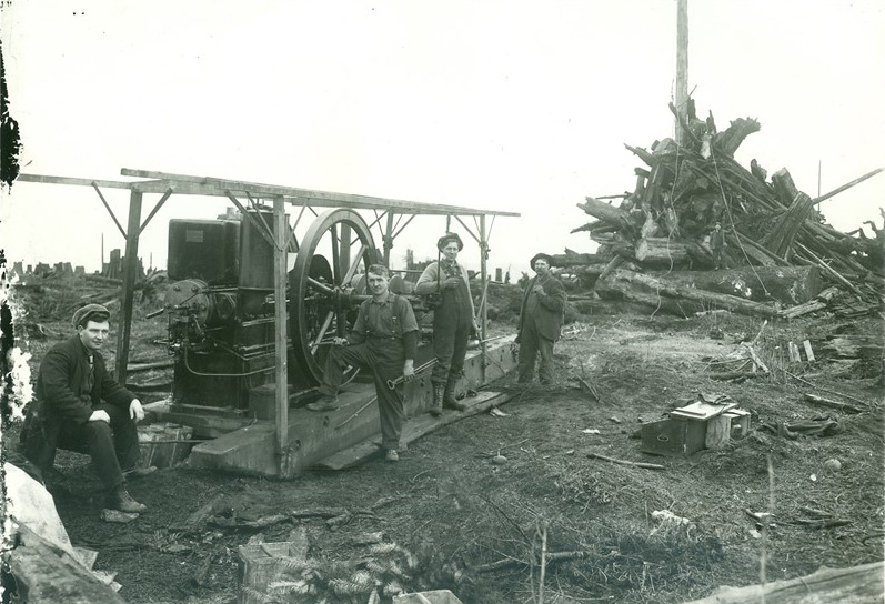 Baumstumpftransport und Landrodung, Arlington USA, um 1900