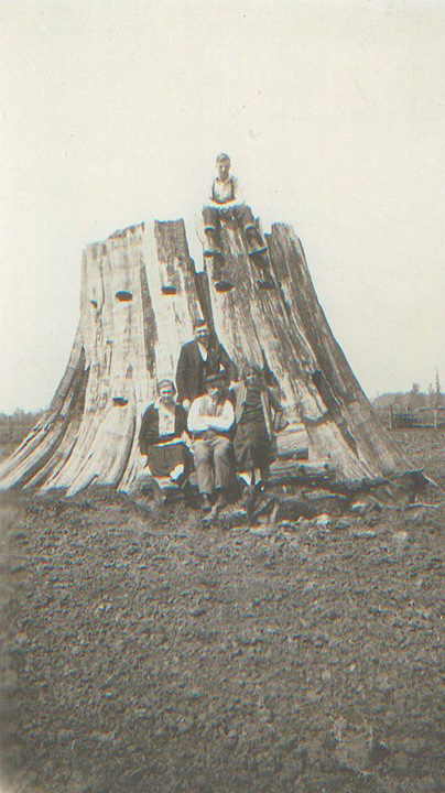 Das erste "Haus" von Max Eitzenberger - ein Zedern-Baumstumpf (Matilda Strotz, Ludwig Radner, Max Eitzenberger und Fredia Radner, Otto Eitzenberger oben, 1923)