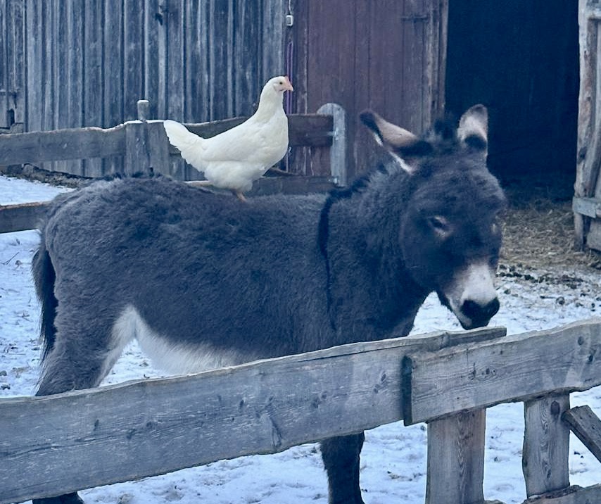 Eiskalt und doch ein Zauber
