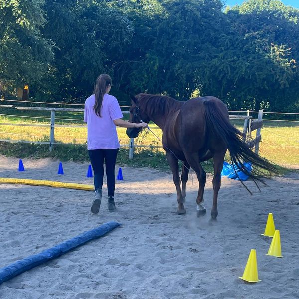 Was ist das & Wofür ist das? victoriadumlers seite!