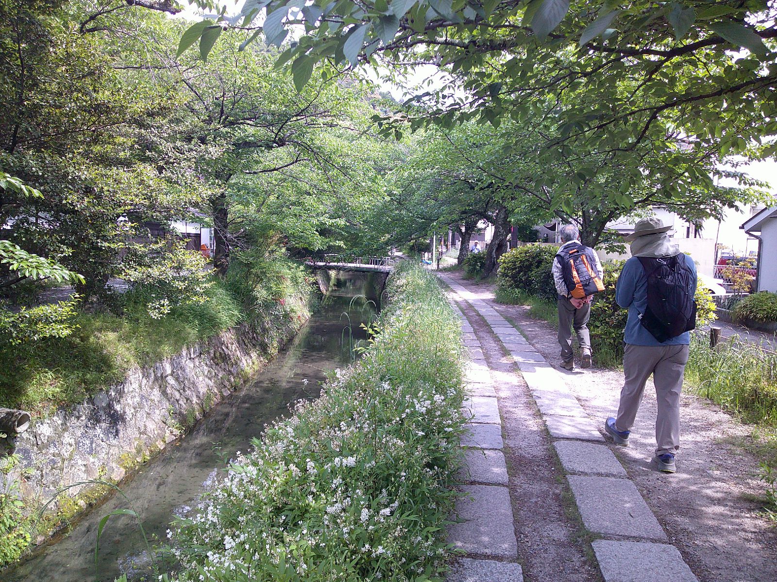 ２４．美しい哲学の道