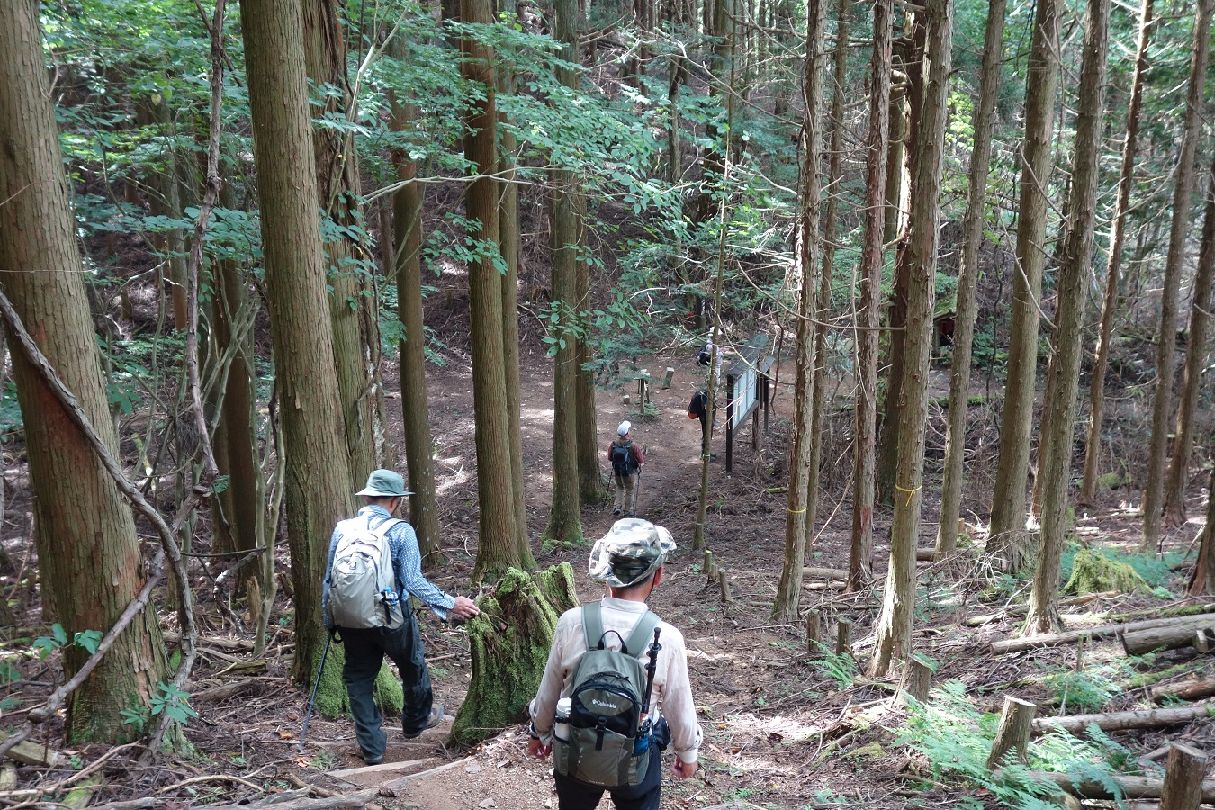 １４．子継峠に下りる