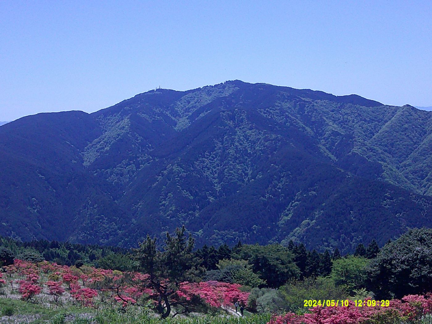 １６．ツツジ園と金剛山
