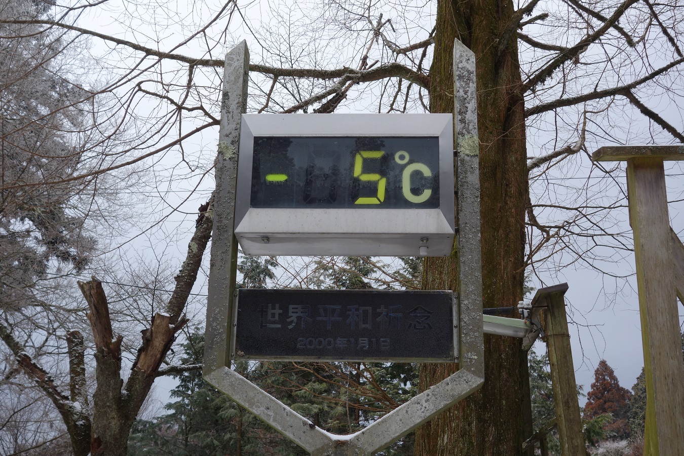 11. 山頂付近の１２時の気温は、マイナス５℃