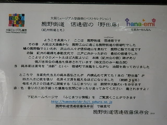 ③野田藤の説明板