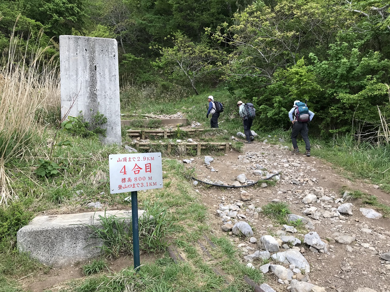3. 四合目から樹林帯へ