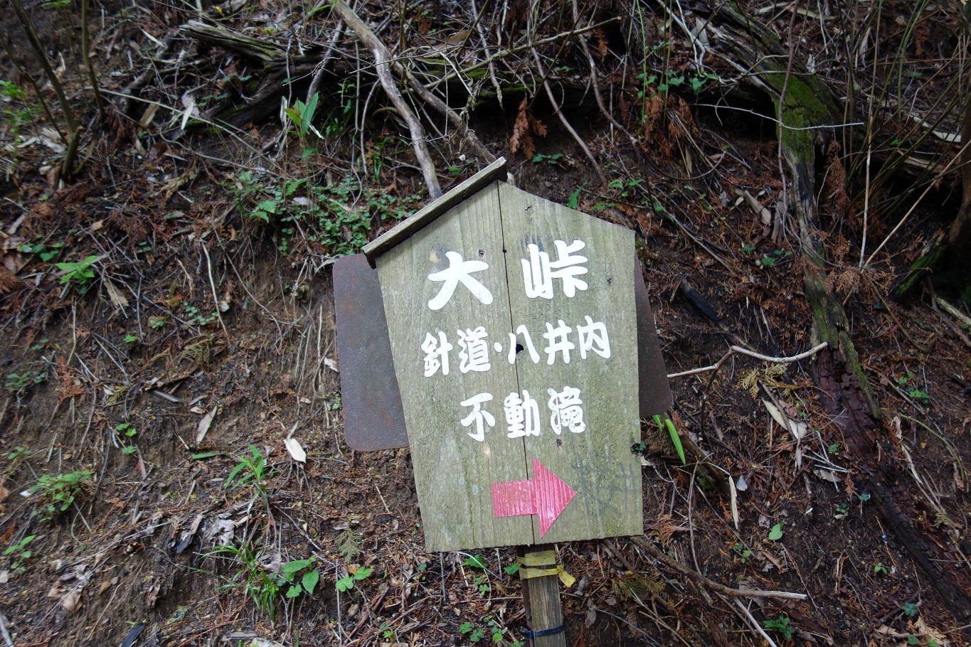 17. 大峠に到着