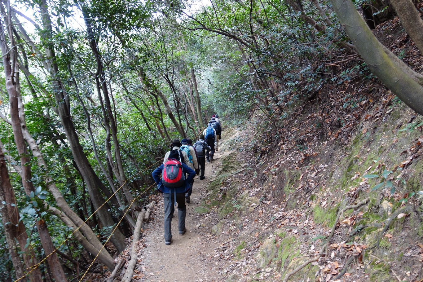 5. 畝傍山への坂道を登る