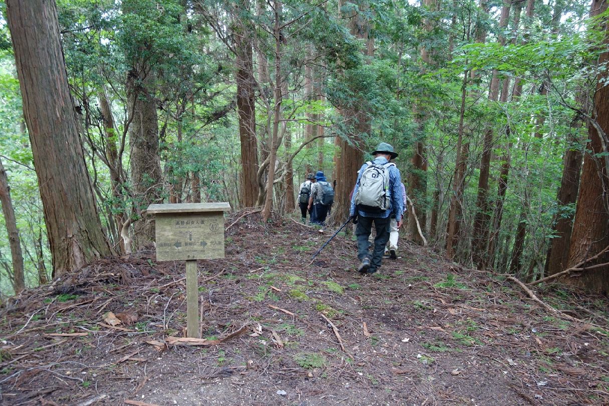 ２１．奥の院に向け下っていく