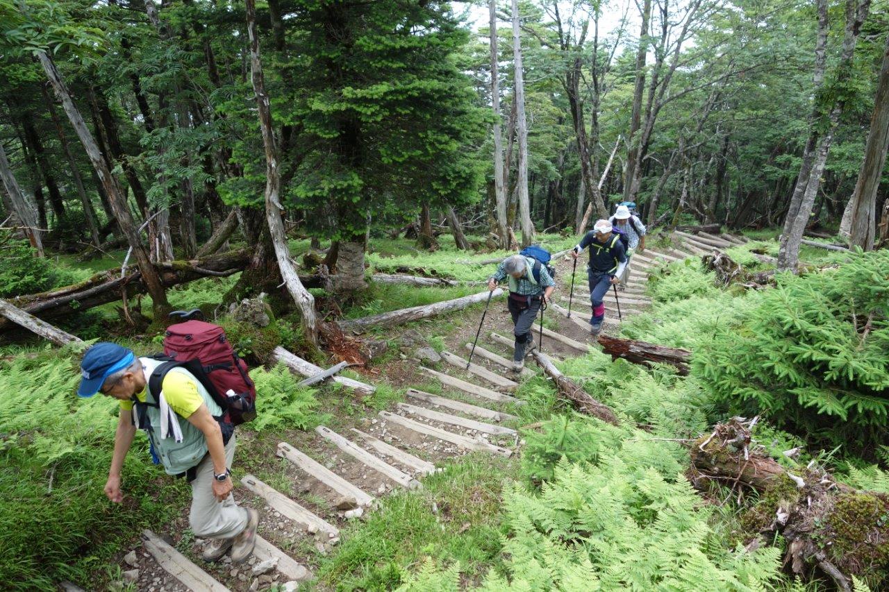 24. 最後の木段を登ると、