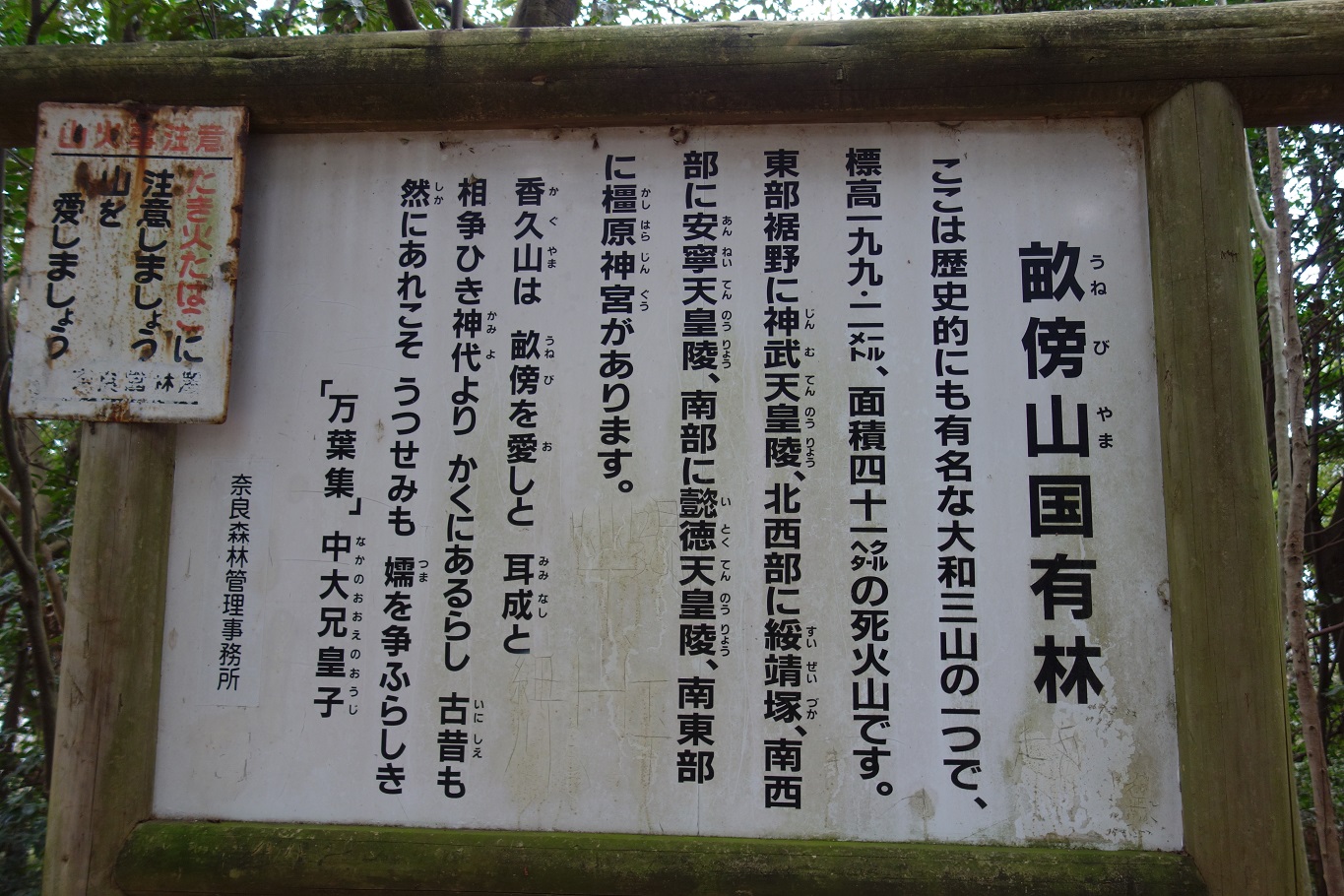 6. 畝傍山の説明