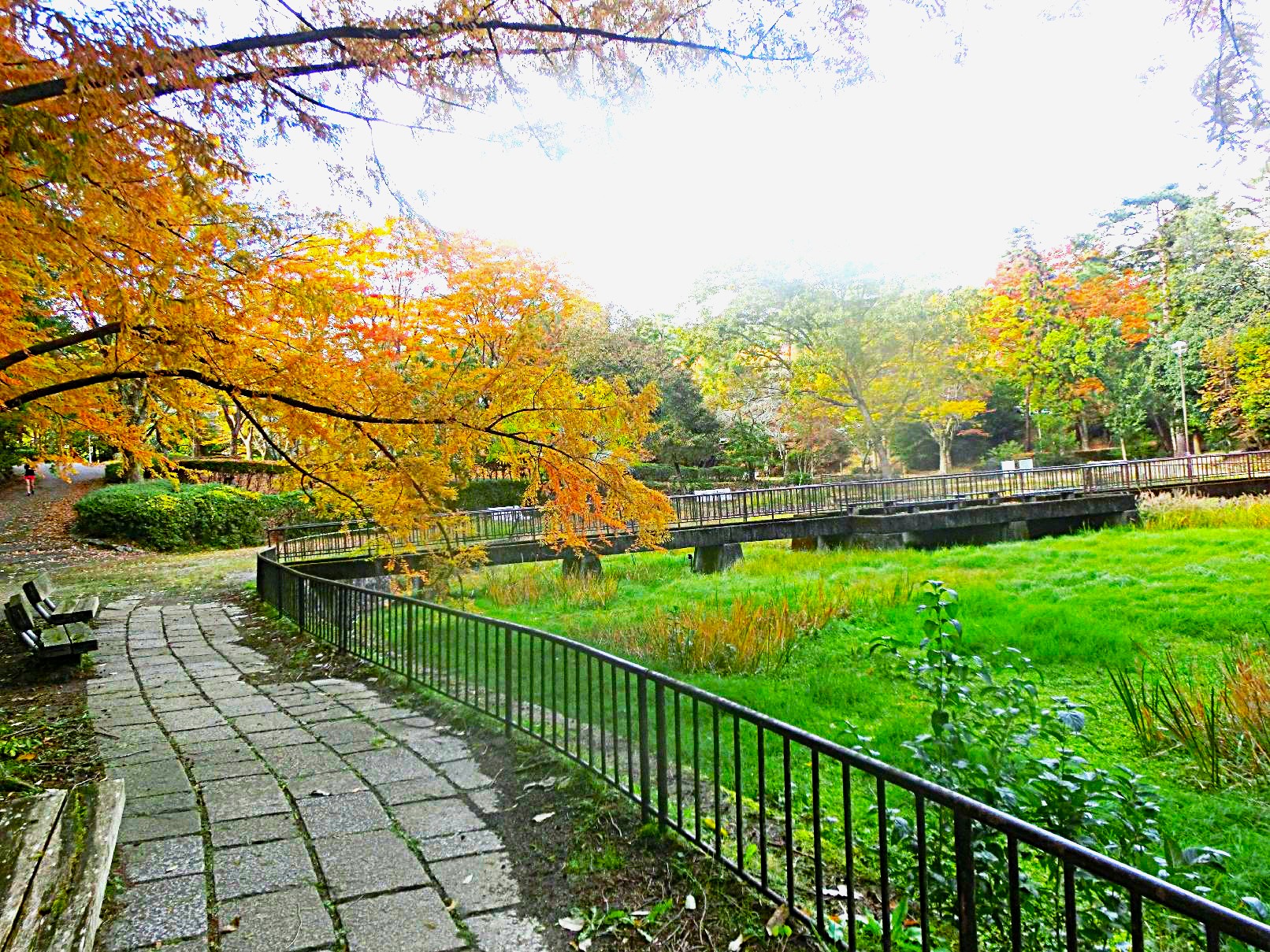 １３．池の遊歩道