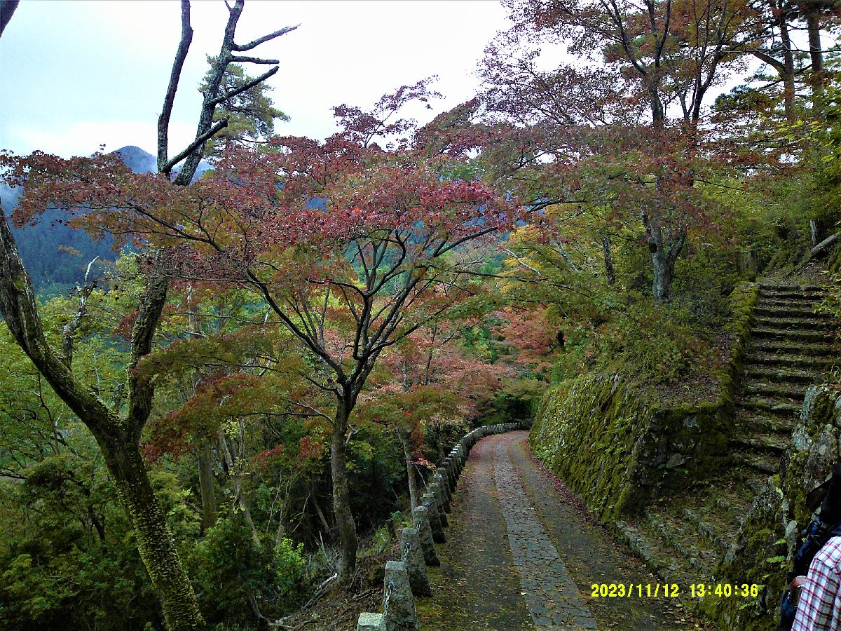 ２３．高城山山頂の紅葉１