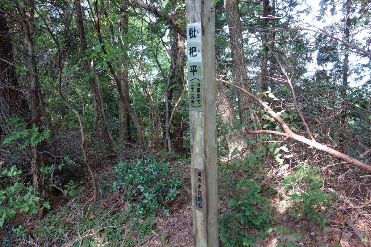 33. 枇杷平を過ぎる