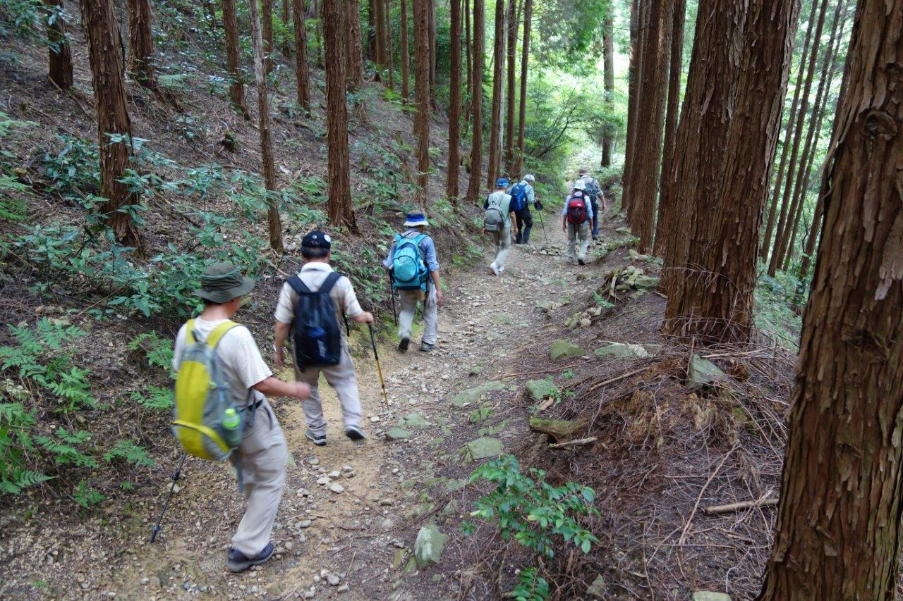 32. 歩きやすい山道をどんどん下る