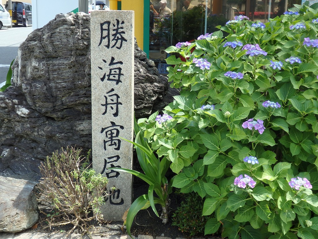 第37回(平成29年6月8日) 和歌山城～1