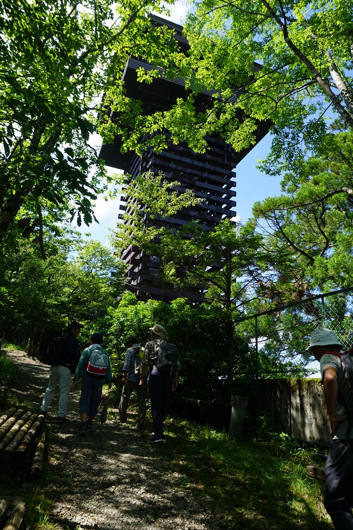 ５．スカイタワー脇を登って