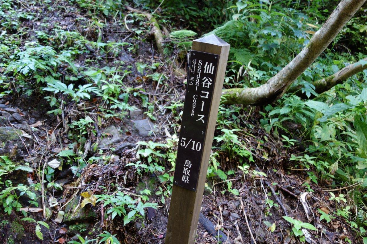 13. やっと、半分登る