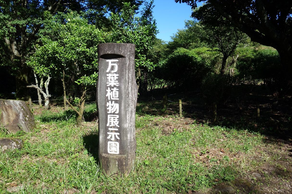３１．万葉植物展示園を過ぎる