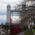 第7回(平成21年3月27日)高瀬川鴨川～3